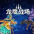 龙鹰战场